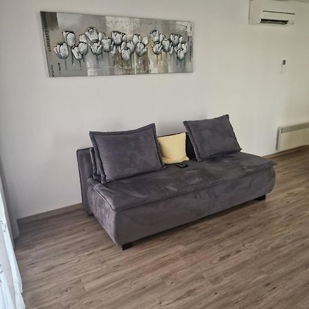 Family Apartment Моравске-Топлице Екстериор снимка