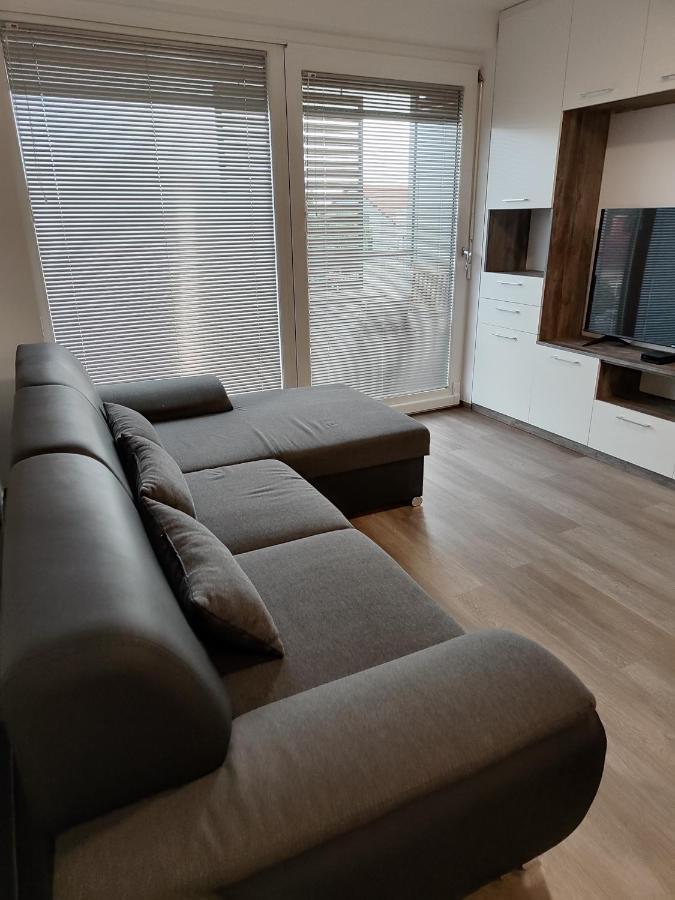 Family Apartment Моравске-Топлице Екстериор снимка