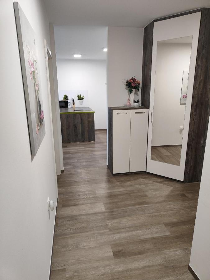 Family Apartment Моравске-Топлице Екстериор снимка