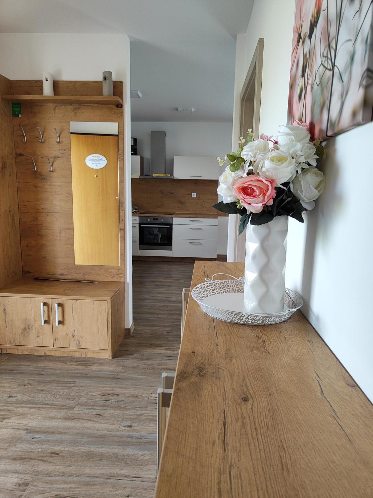 Family Apartment Моравске-Топлице Екстериор снимка