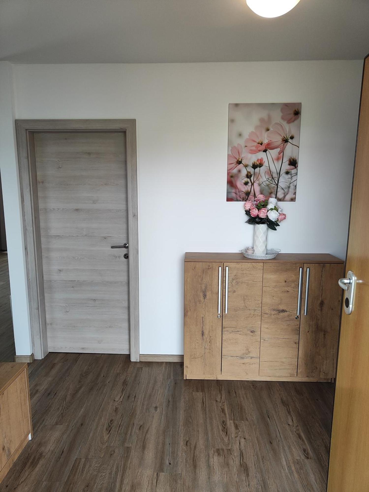 Family Apartment Моравске-Топлице Екстериор снимка